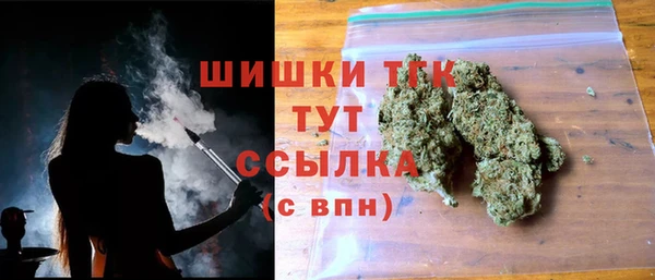 стафф Богданович