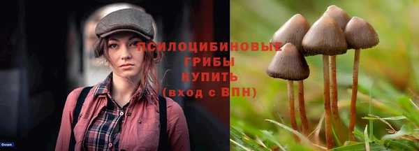 гидропоника Верея
