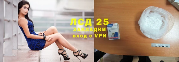 стафф Богданович