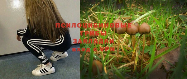 мяу мяу мука Богородск
