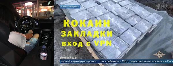 стафф Богданович